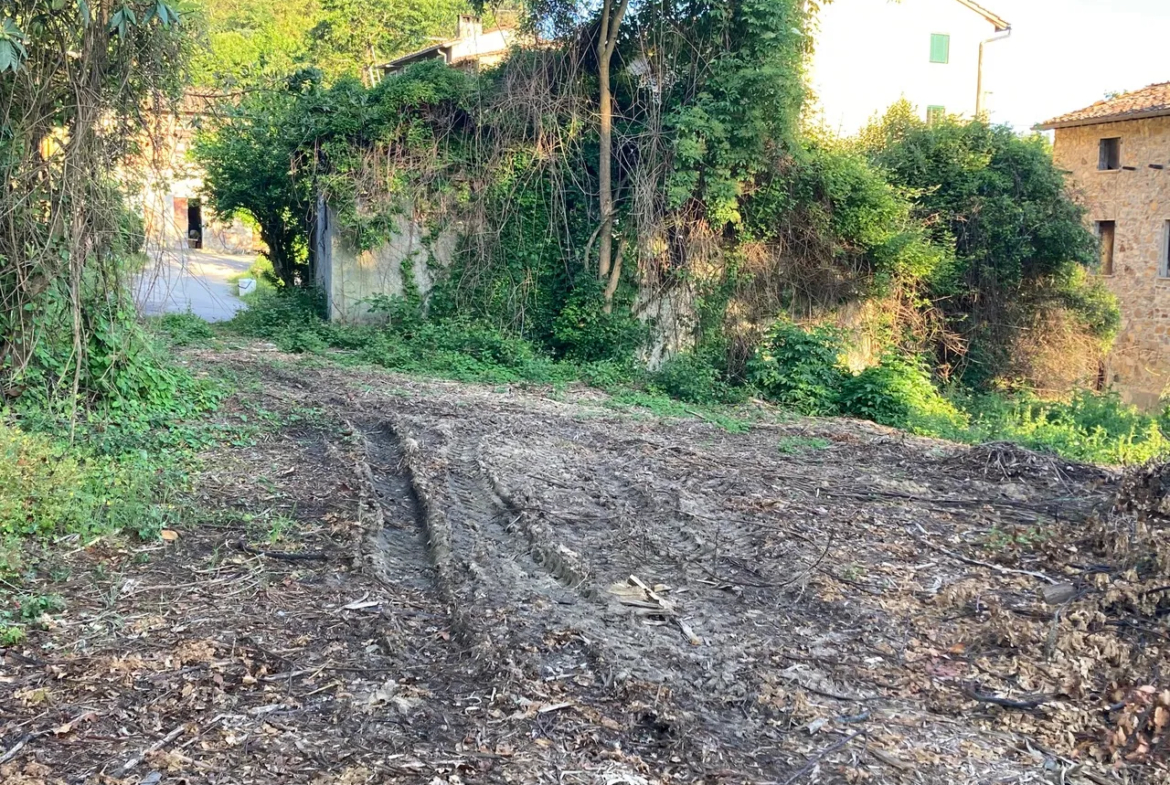 4 Bed House For Renovation for Sale In Capannori Lucca Italy
