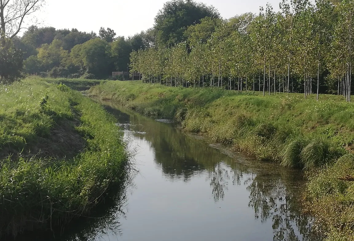 Excellent Plot of land for sale in Silvelle di Trebaseleghe Padua Veneto Italy