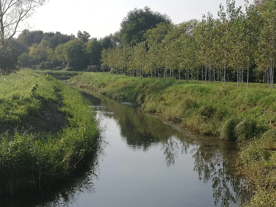 Excellent Plot of land for sale in Silvelle di Trebaseleghe Padua Veneto Italy