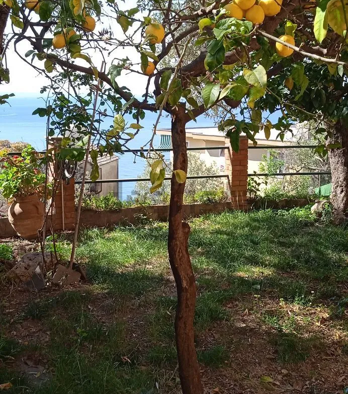 Luxury 2 Storey Sea View Apartment for Sale In Via Polanesi, Sori Liguria Italy