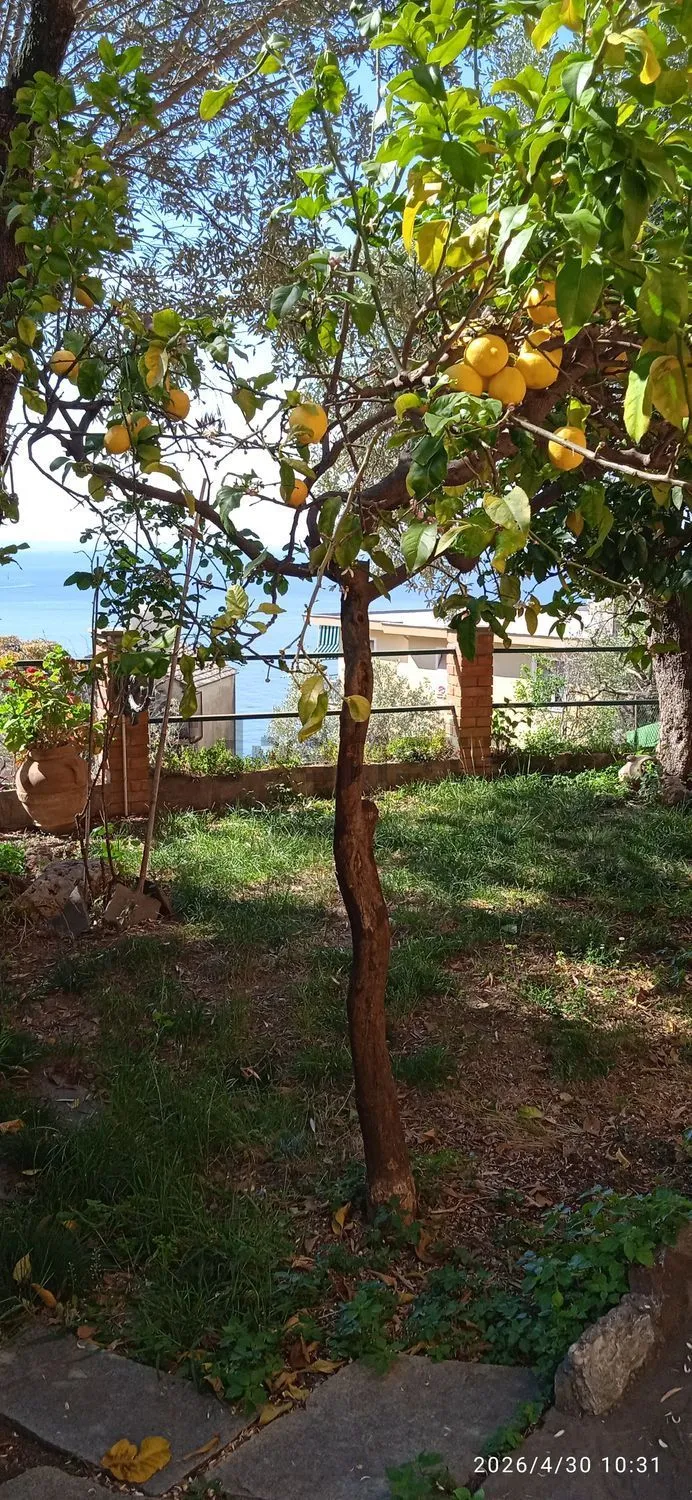 Luxury 2 Storey Sea View Apartment for Sale In Via Polanesi, Sori Liguria Italy