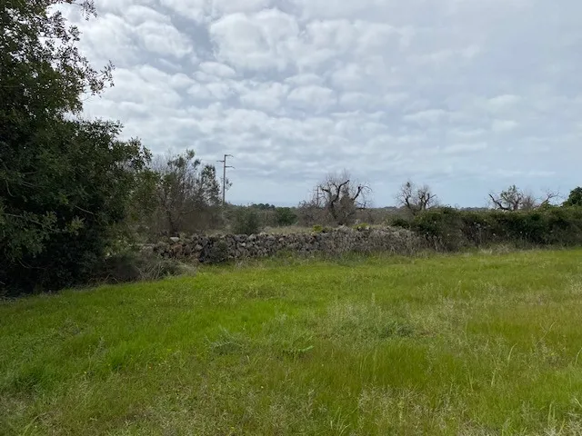 Excellent Plot of land for sale in Morciano di Leuca Puglia Italy