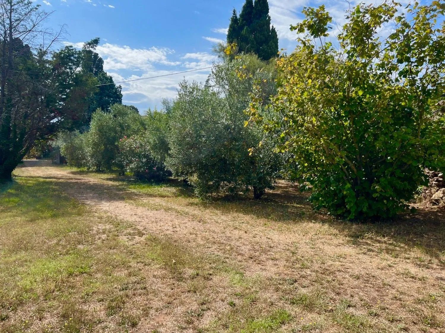 Excellent 3 Bed Villa for Sale In Via Chiusagrande Campiglia marittima Italy