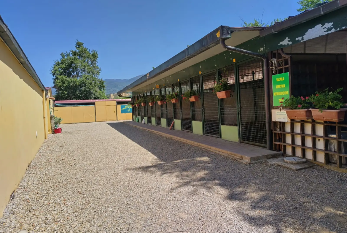 Luxury Estate & Canine Business for Sale In Terranuova Bracciolini Tuscany Italy