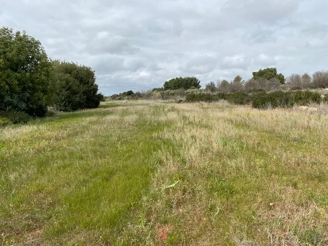 Excellent Plot of land for sale in Morciano di Leuca Puglia Italy