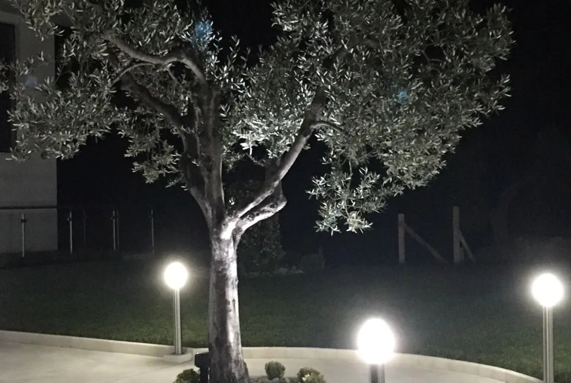Luxury 6 Bed Villa For sale in MONTENERO DI BISACCIA Molise Abruzzo Italy