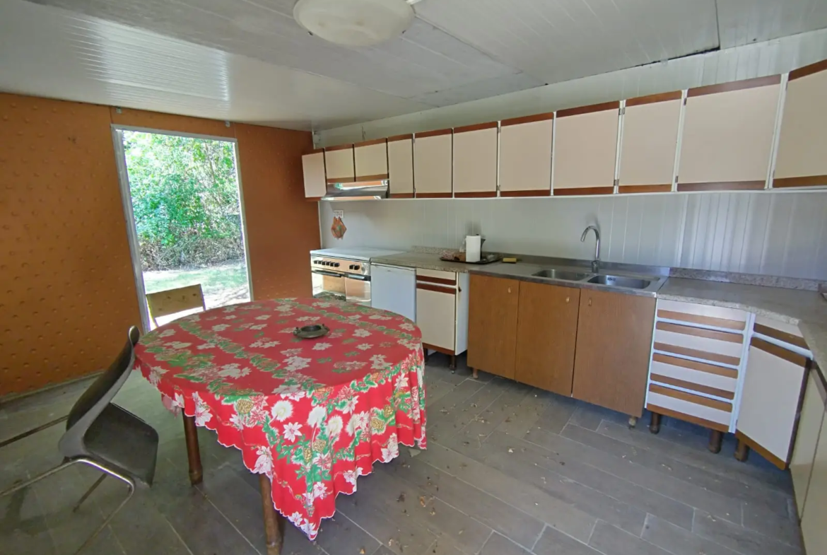 Luxury Estate & Canine Business for Sale In Terranuova Bracciolini Tuscany Italy