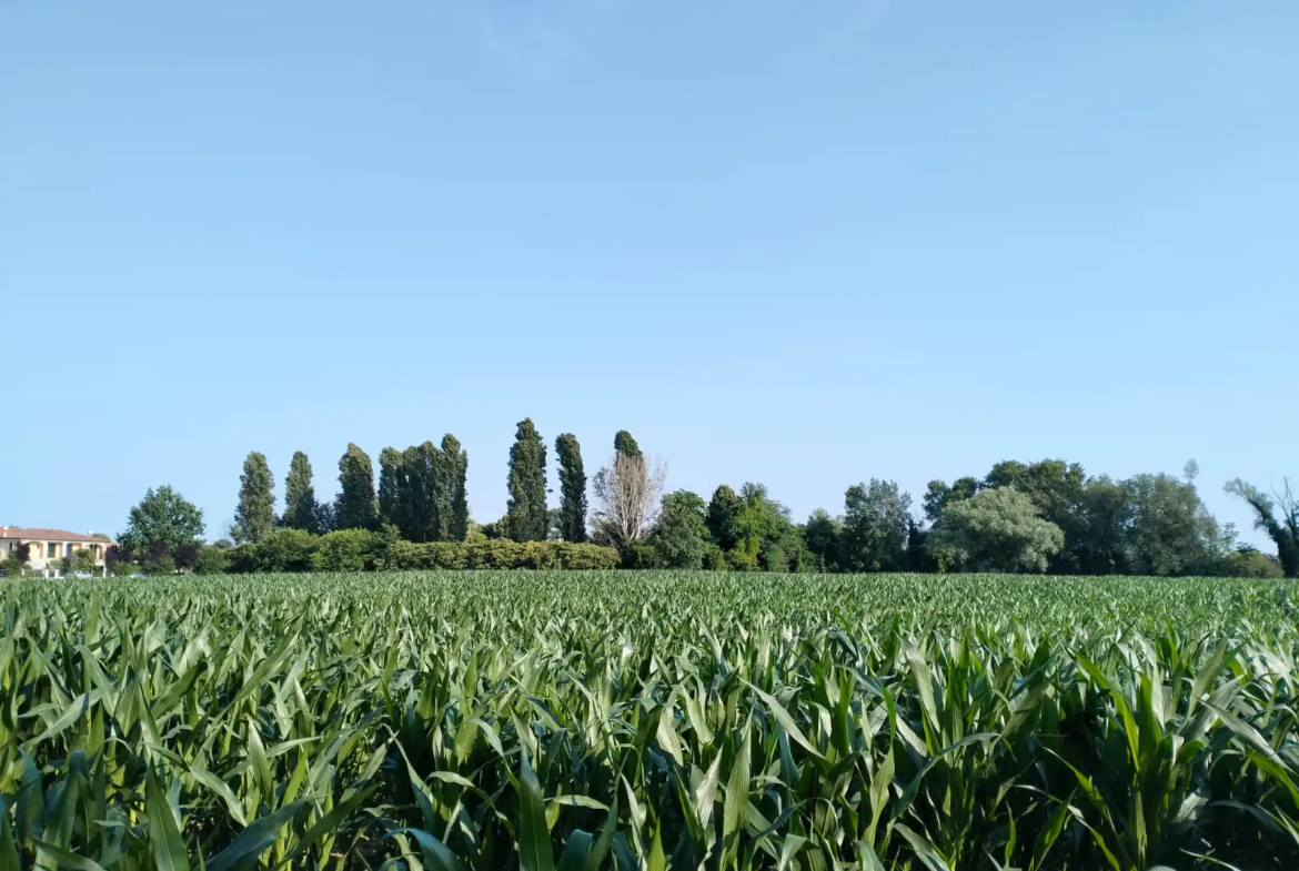 Excellent Plot of land for sale in Silvelle di Trebaseleghe Padua Veneto Italy