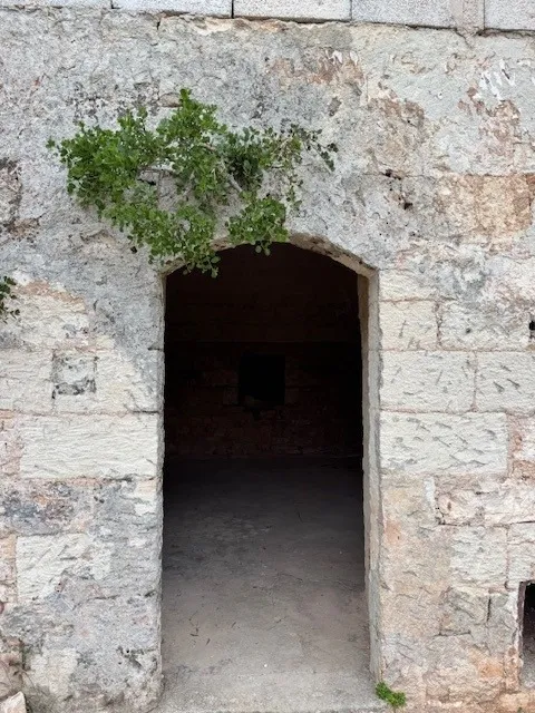 Estate For Redvelopment for Sale In Ceglie Messapica Brindisi Puglia Italy