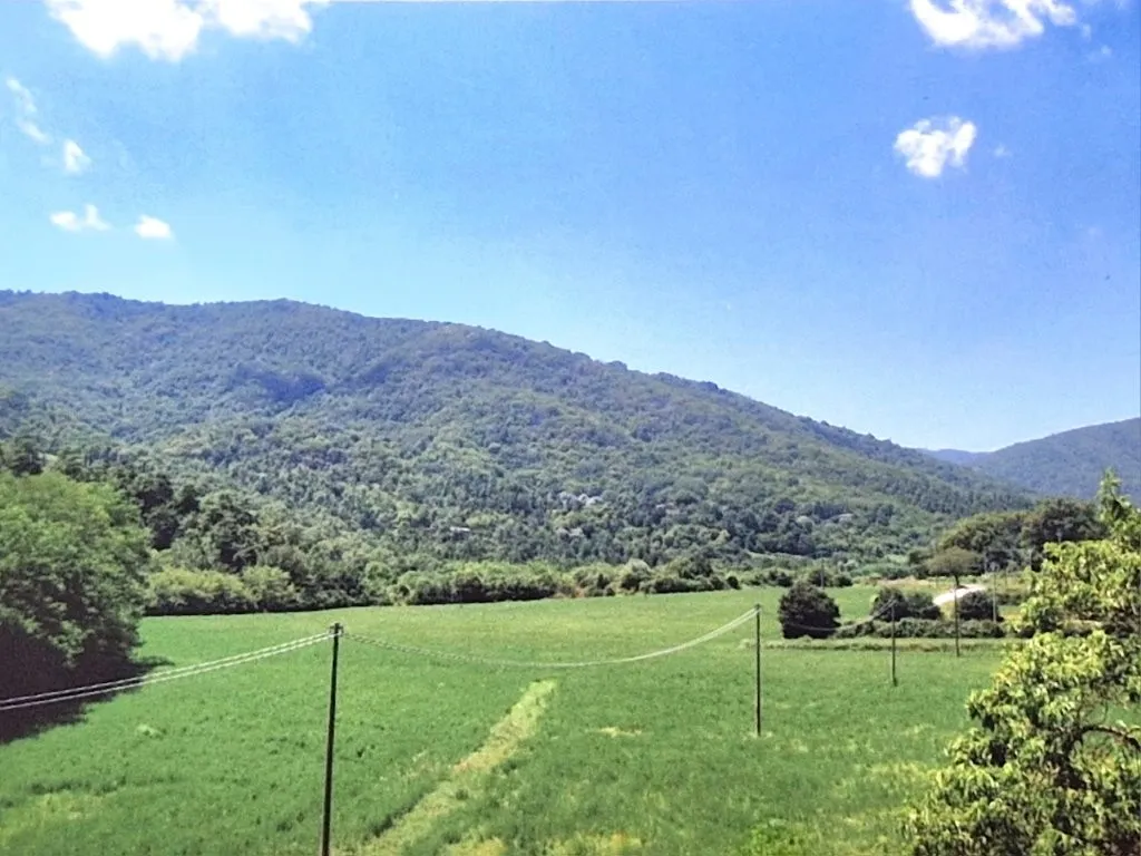 Estate with Multiple Properties for Sale In Cortona Tuscany Italy