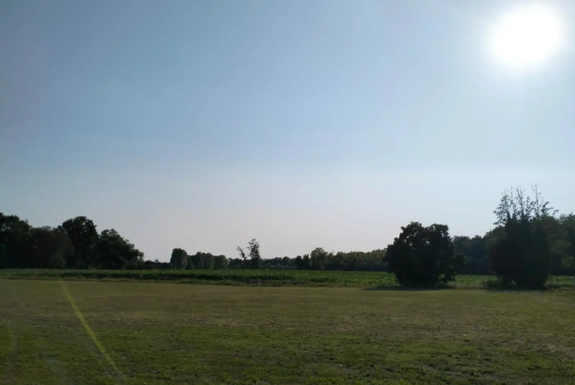 Excellent Plot of land for sale in Silvelle di Trebaseleghe Padua Veneto Italy