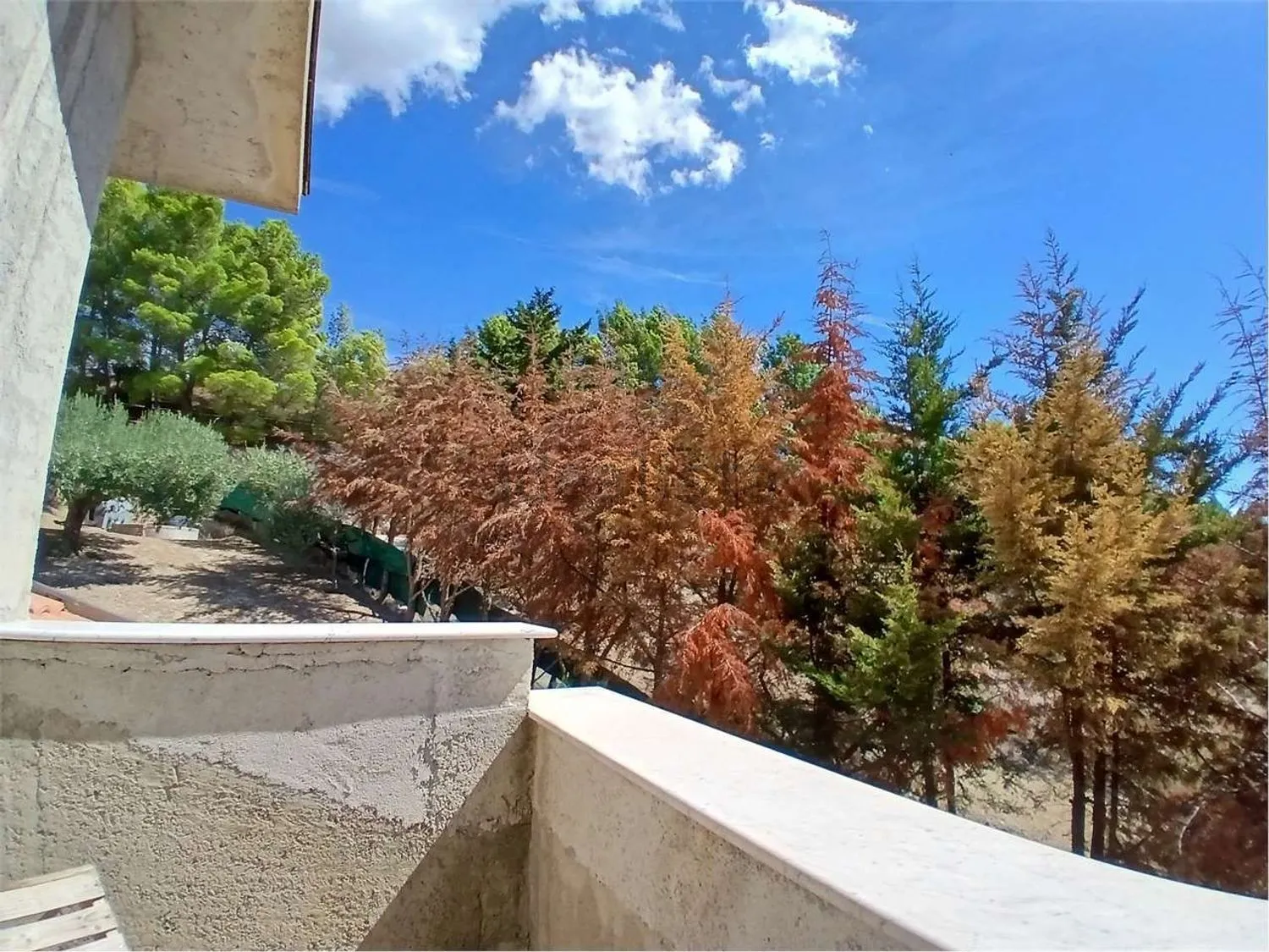 Stunning 3 bed Villa for Sale In Alessandria della Rocca Platani Hills, Agrigento Sicily Italy