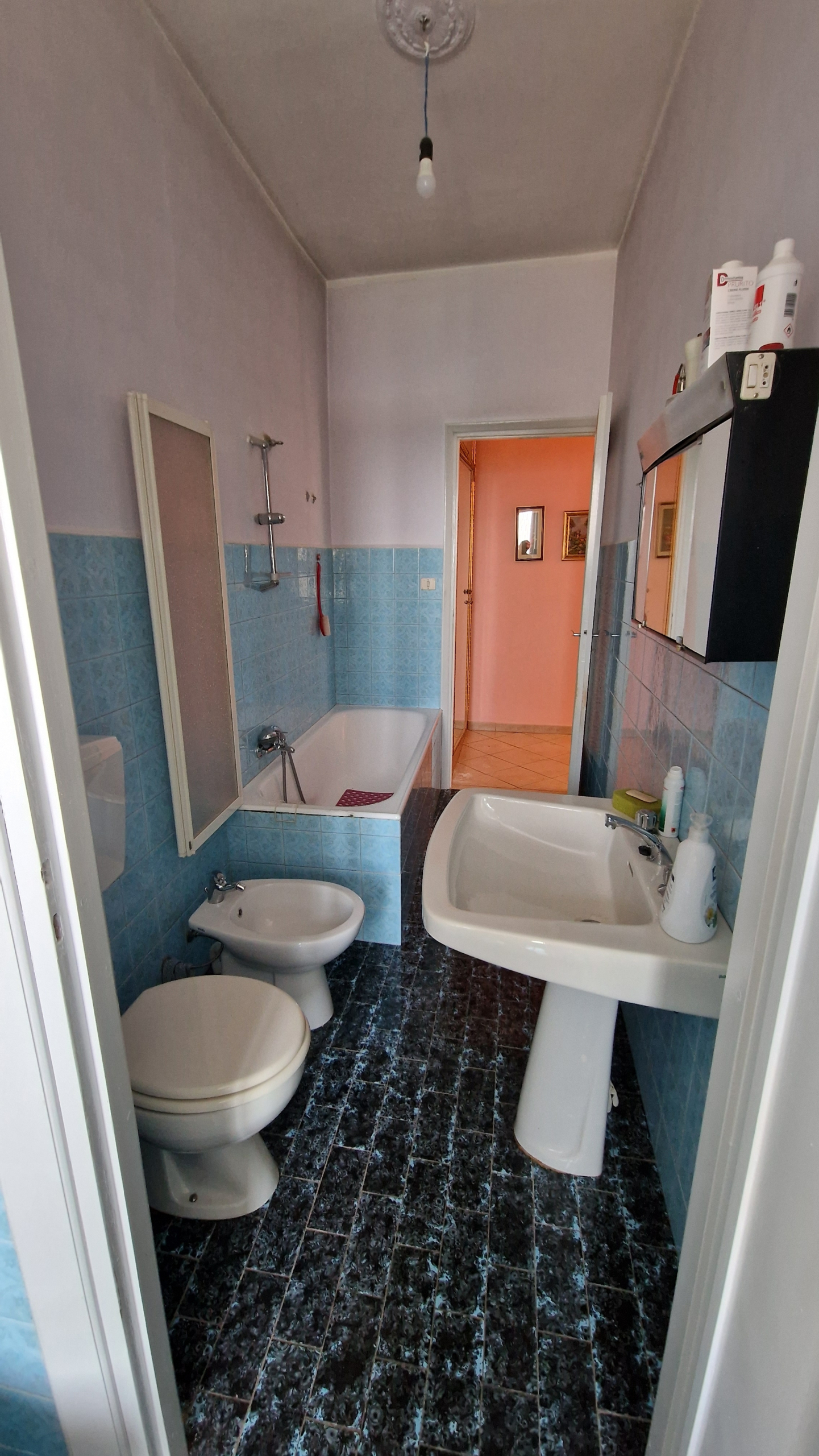 Estate of Properties for Sale In Pino D’Asti Piedmont Italy