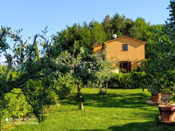 Luxury 5 Bed B&B for Sale In Sant’Angelo in Vado Marche Italy