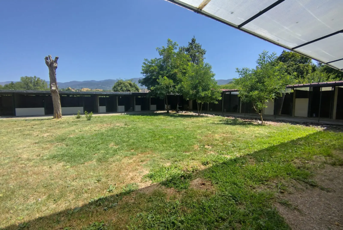 Luxury Estate & Canine Business for Sale In Terranuova Bracciolini Tuscany Italy