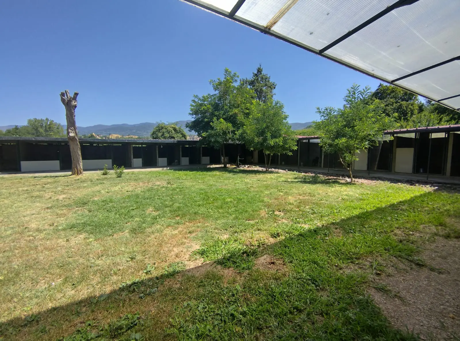Luxury Estate & Canine Business for Sale In Terranuova Bracciolini Tuscany Italy