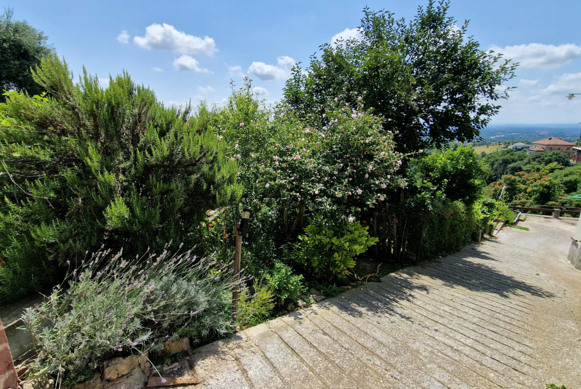 Estate of Properties for Sale In Pino D’Asti Piedmont Italy