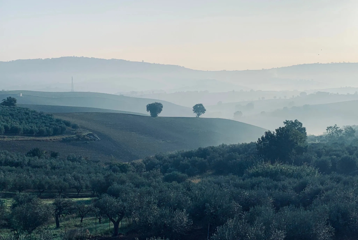 Luxury 6 Bed Villa For sale in MONTENERO DI BISACCIA Molise Abruzzo Italy
