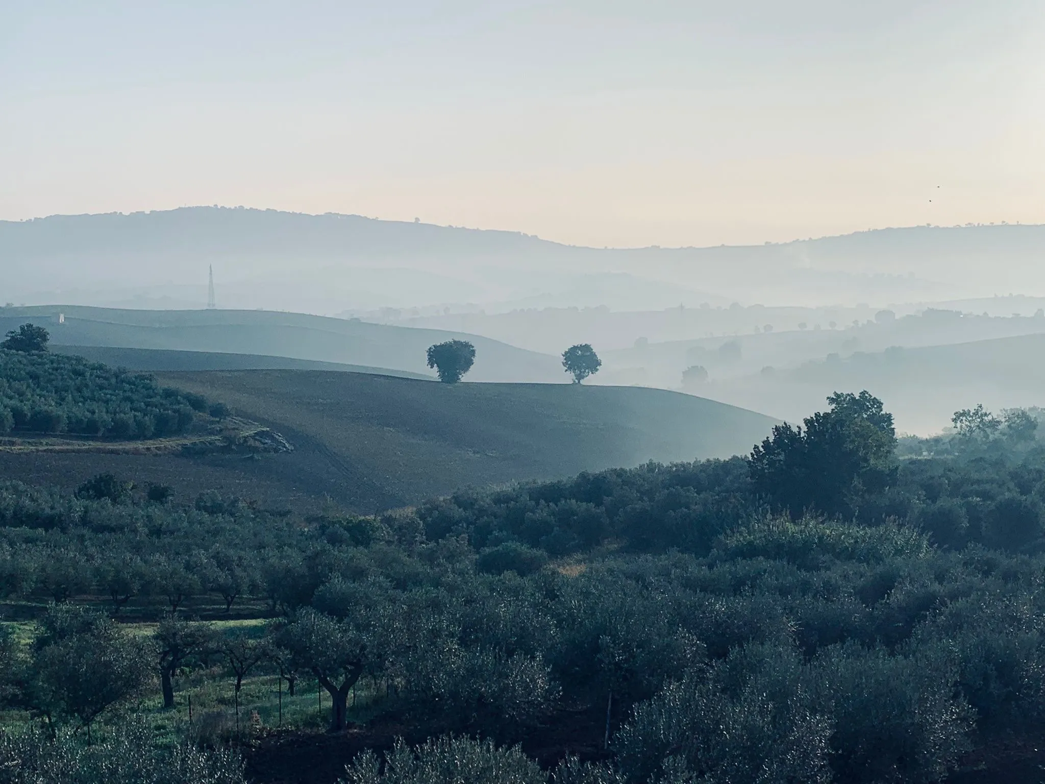 Luxury 6 Bed Villa For sale in MONTENERO DI BISACCIA Molise Abruzzo Italy