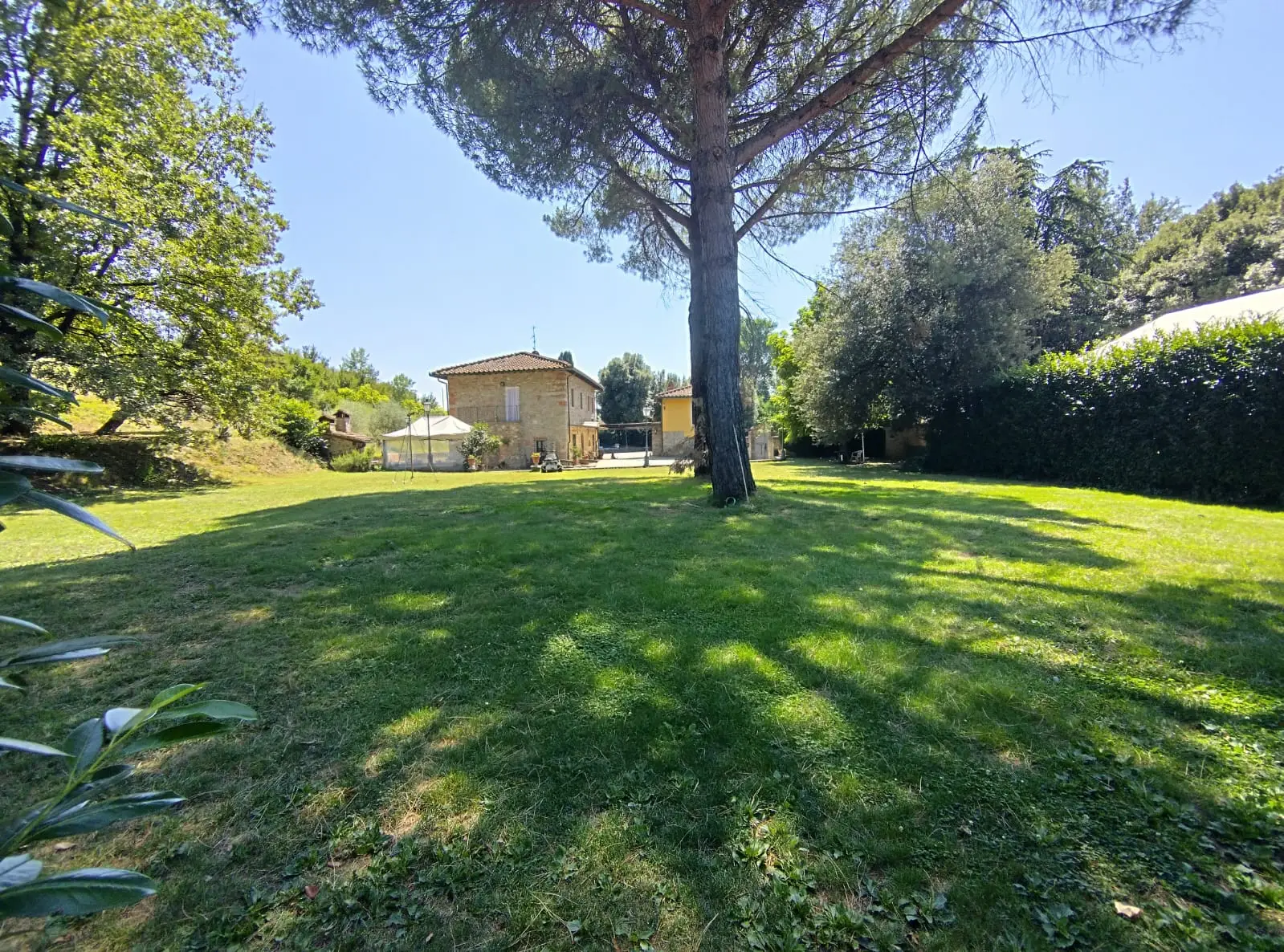 Luxury Estate & Canine Business for Sale In Terranuova Bracciolini Tuscany Italy