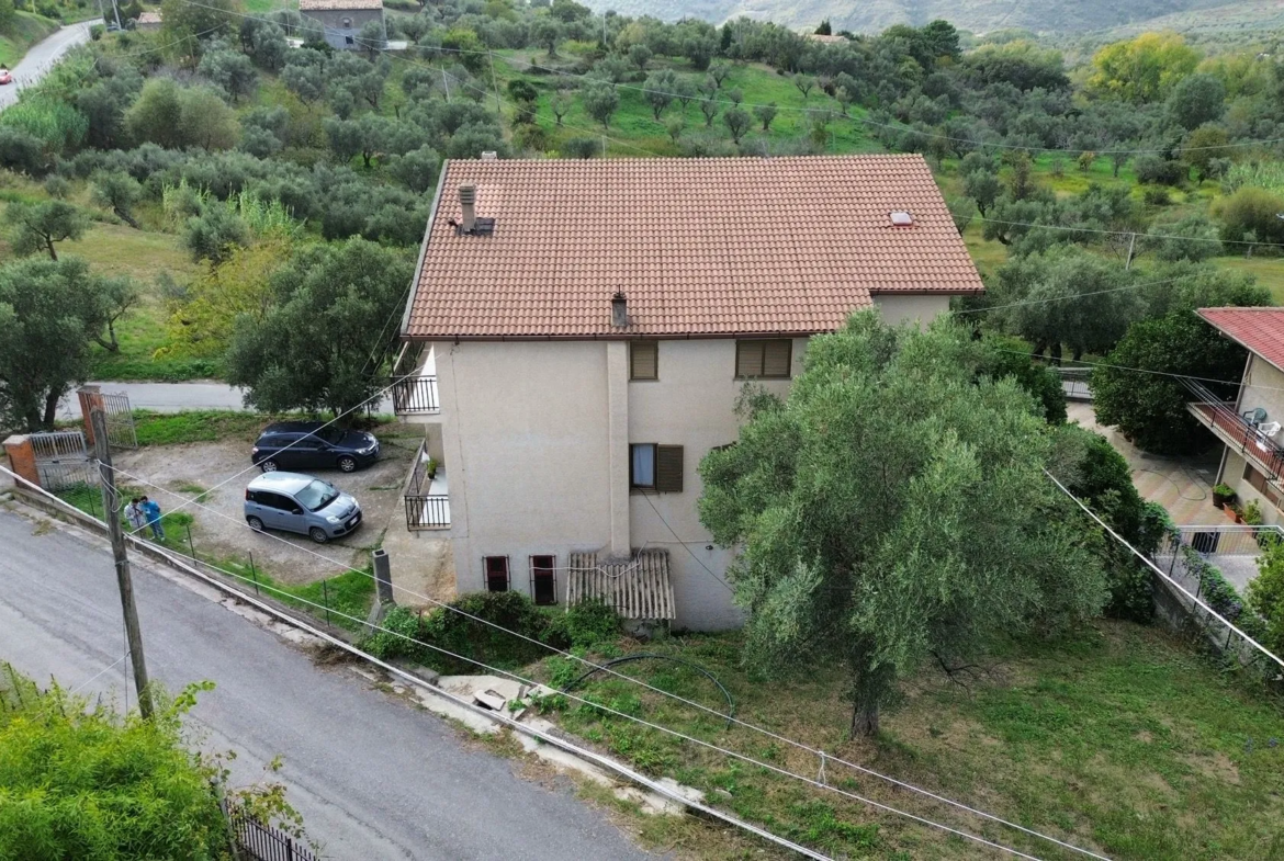 Commerical property with apartment for Sale In Cleto Calabria Italy