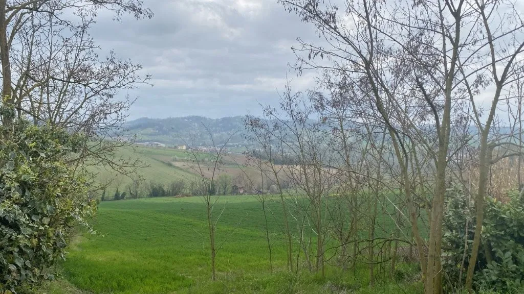 Excellent 3 Bed House for Sale In Ozzano Monferrato Italy