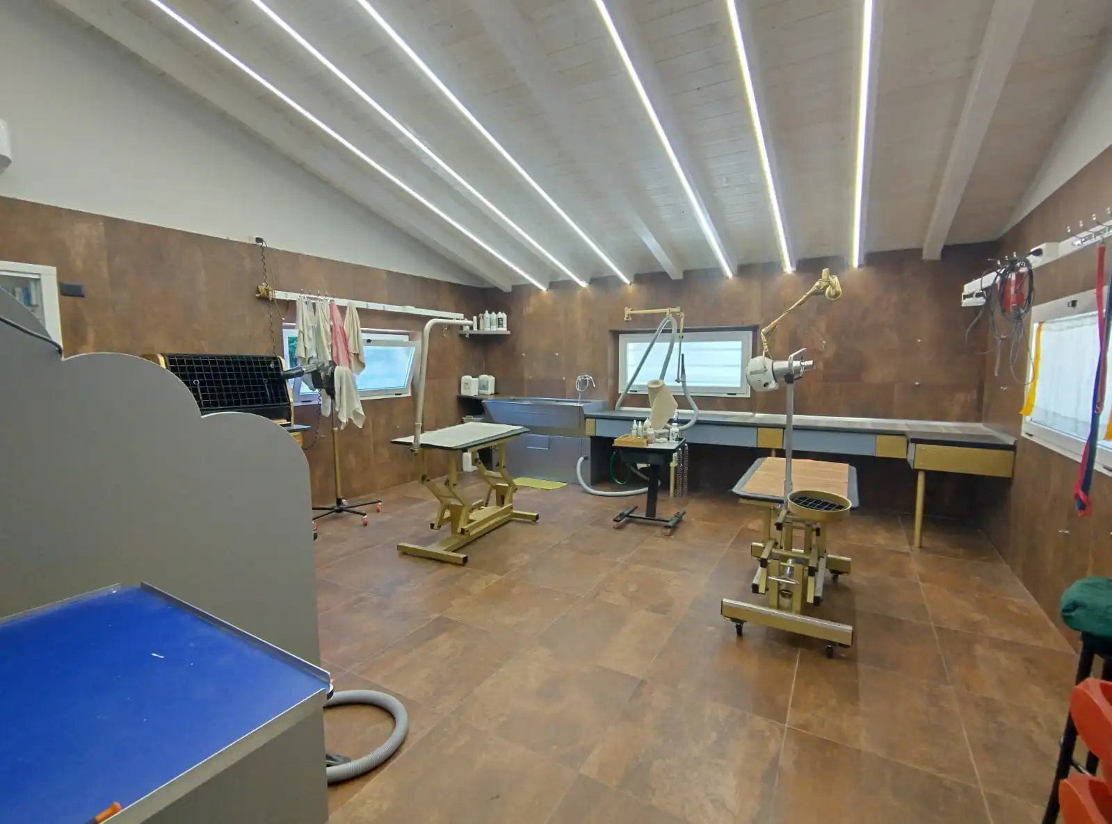 Luxury Estate & Canine Business for Sale In Terranuova Bracciolini Tuscany Italy