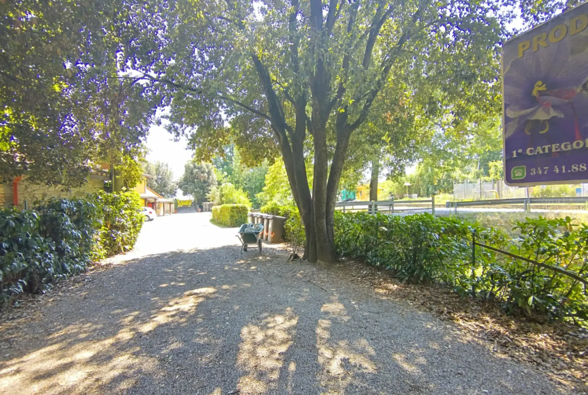 Luxury Estate & Canine Business for Sale In Terranuova Bracciolini Tuscany Italy