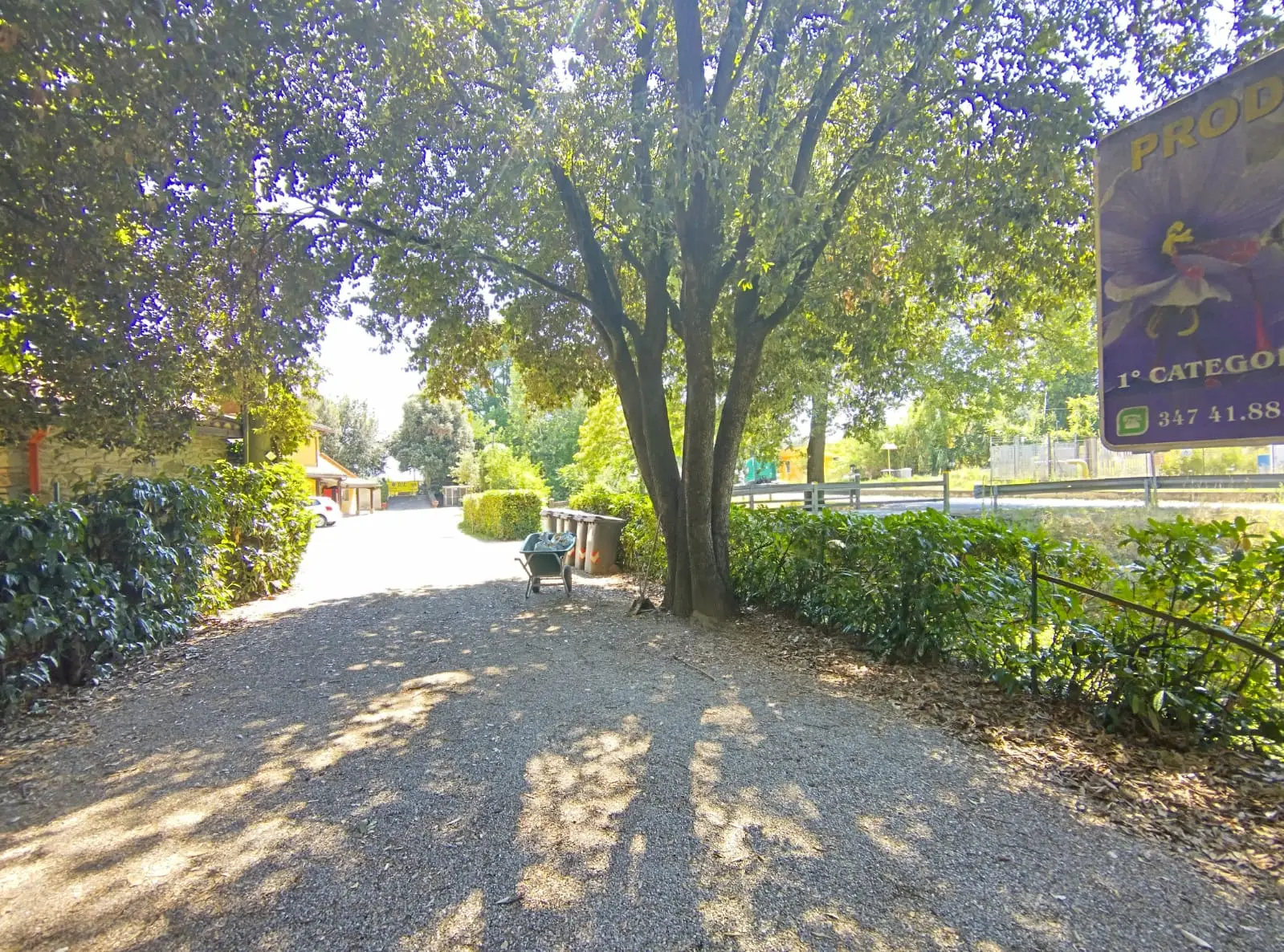 Luxury Estate & Canine Business for Sale In Terranuova Bracciolini Tuscany Italy
