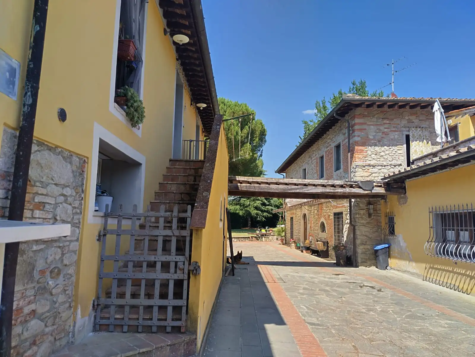 Luxury Estate & Canine Business for Sale In Terranuova Bracciolini Tuscany Italy