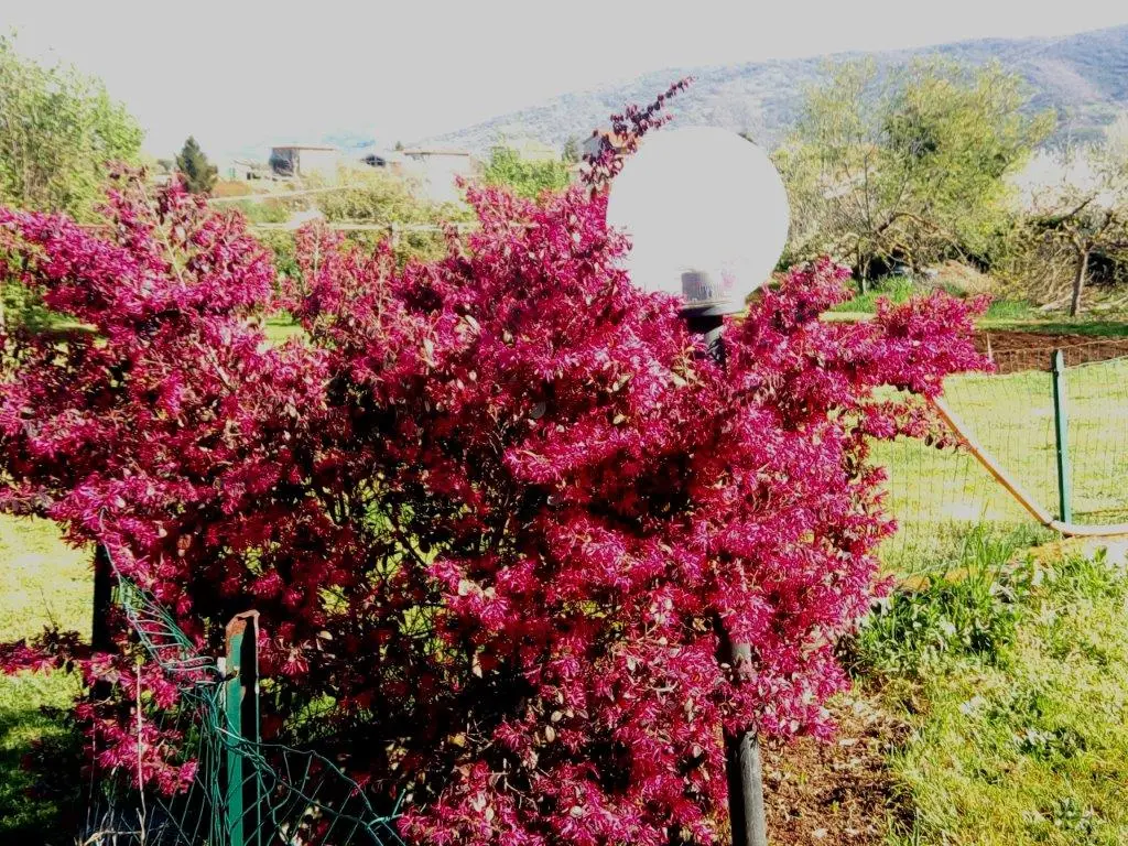 Excellent 4 Bed Villa For Sale in Palestrina Lazio Italy