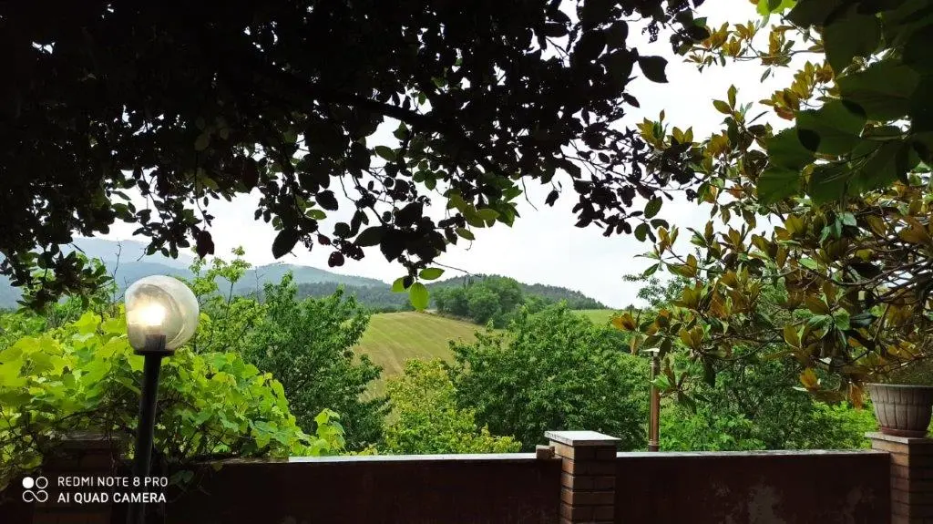 Excellent 5 Bed Country House For Sale In Roccafluvione Italy