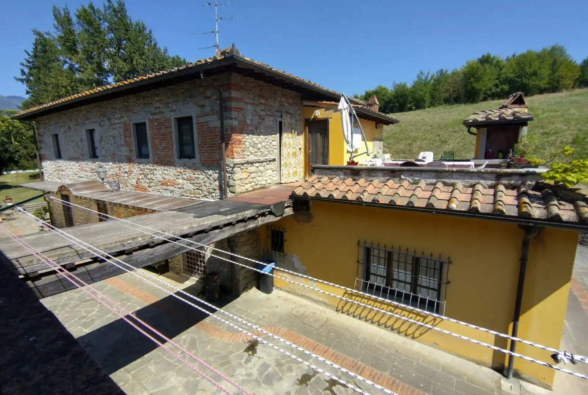 Luxury Estate & Canine Business for Sale In Terranuova Bracciolini Tuscany Italy