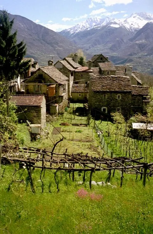 Excellent Estate Of Properties for Sale In Canei, Piedmont Italy