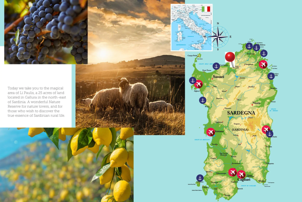 Excellent Plot of land for sale in Sardinia Italy