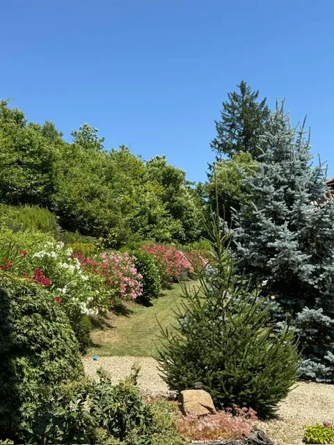 Luxury Stone 4 Bed House for Sale In Talla Casentino Tuscany Arezzo Italy