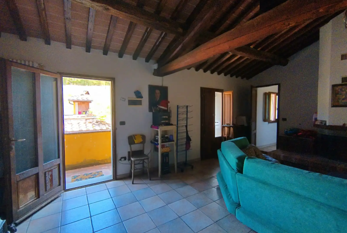 Luxury Estate & Canine Business for Sale In Terranuova Bracciolini Tuscany Italy