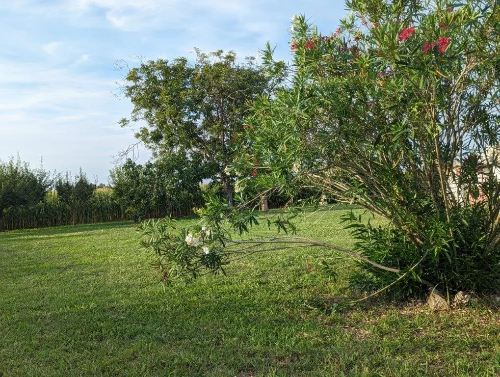 Excellent 3 Bed House For Sale in Lombardy Italy
