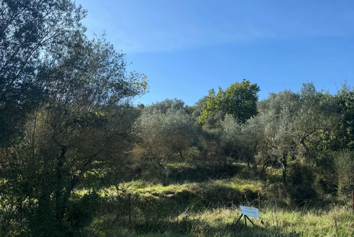 Excellent Plot of land for sale in Sant’Arcangelo Umbria Italy