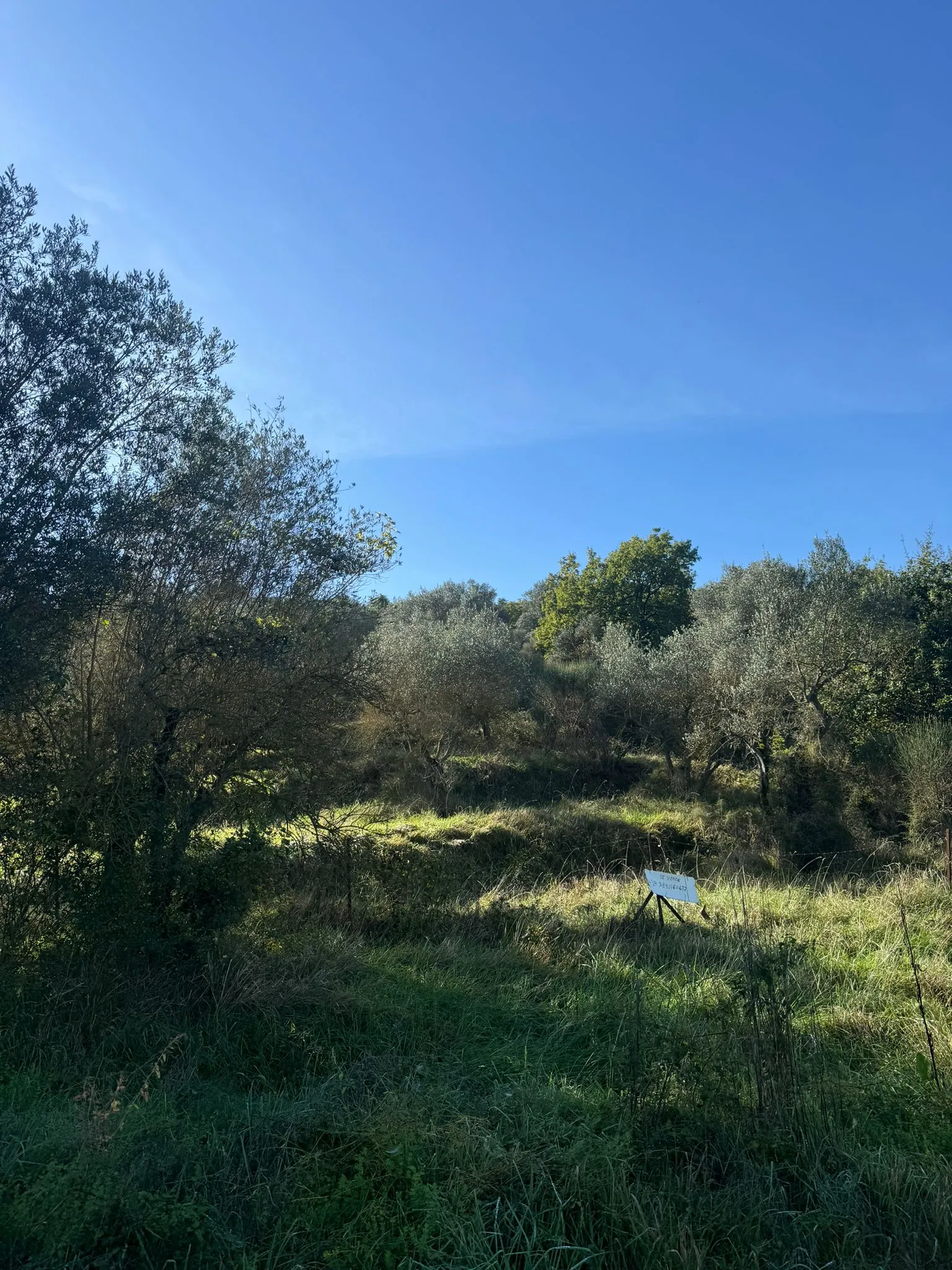 Excellent Plot of land for sale in Sant’Arcangelo Umbria Italy