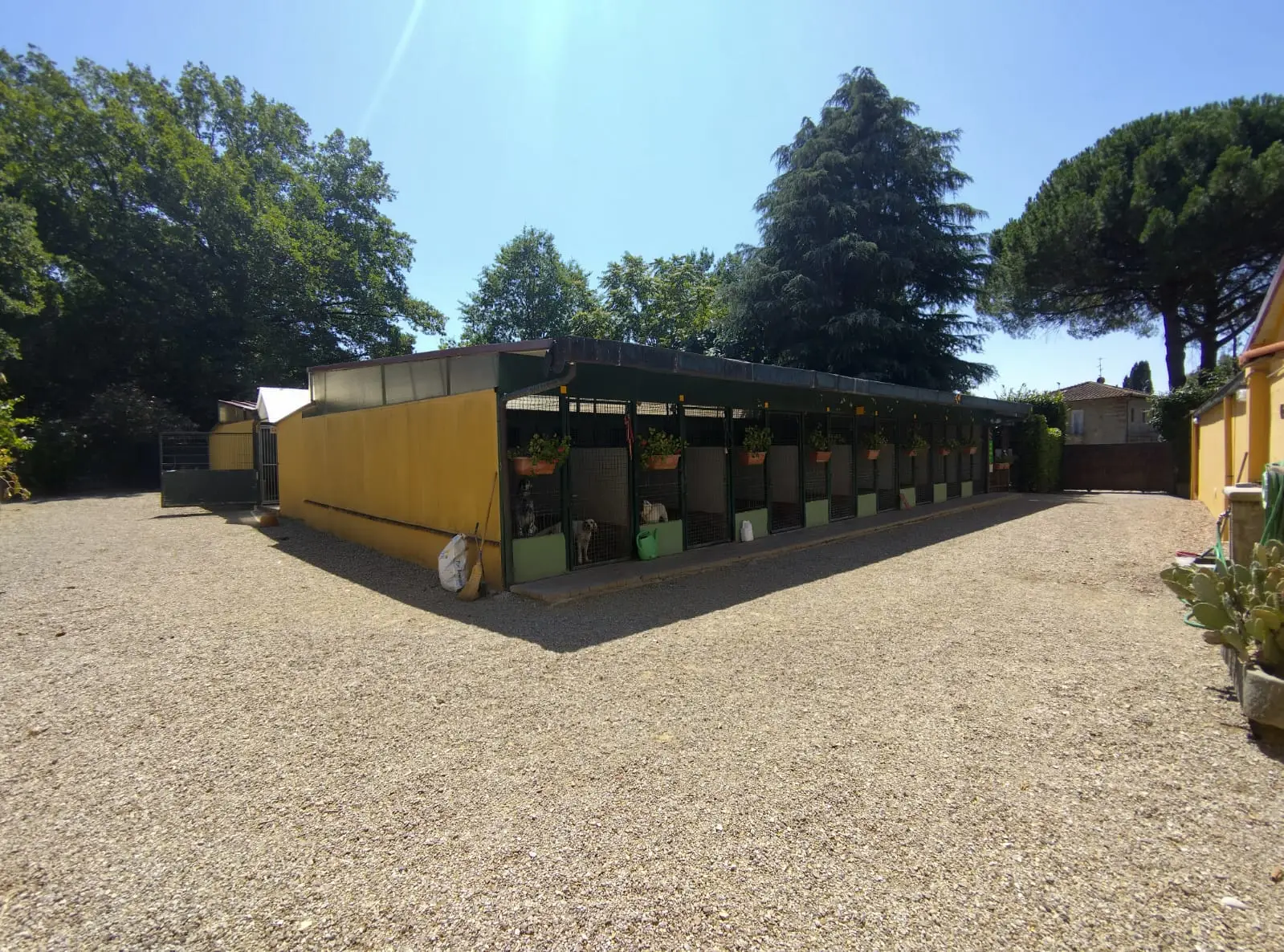 Luxury Estate & Canine Business for Sale In Terranuova Bracciolini Tuscany Italy