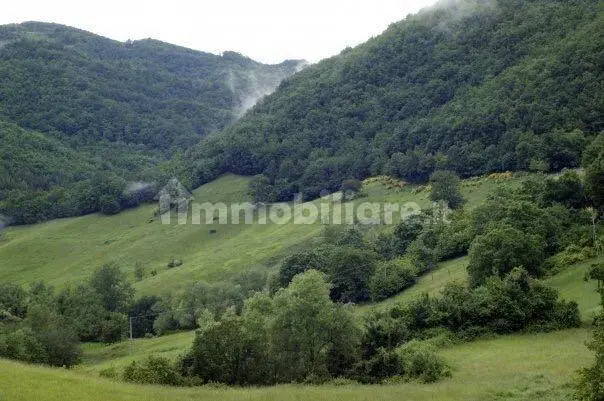 Luxury 8 Bed Farmhouse With Land for Sale In Sorriva, Viano, Italy