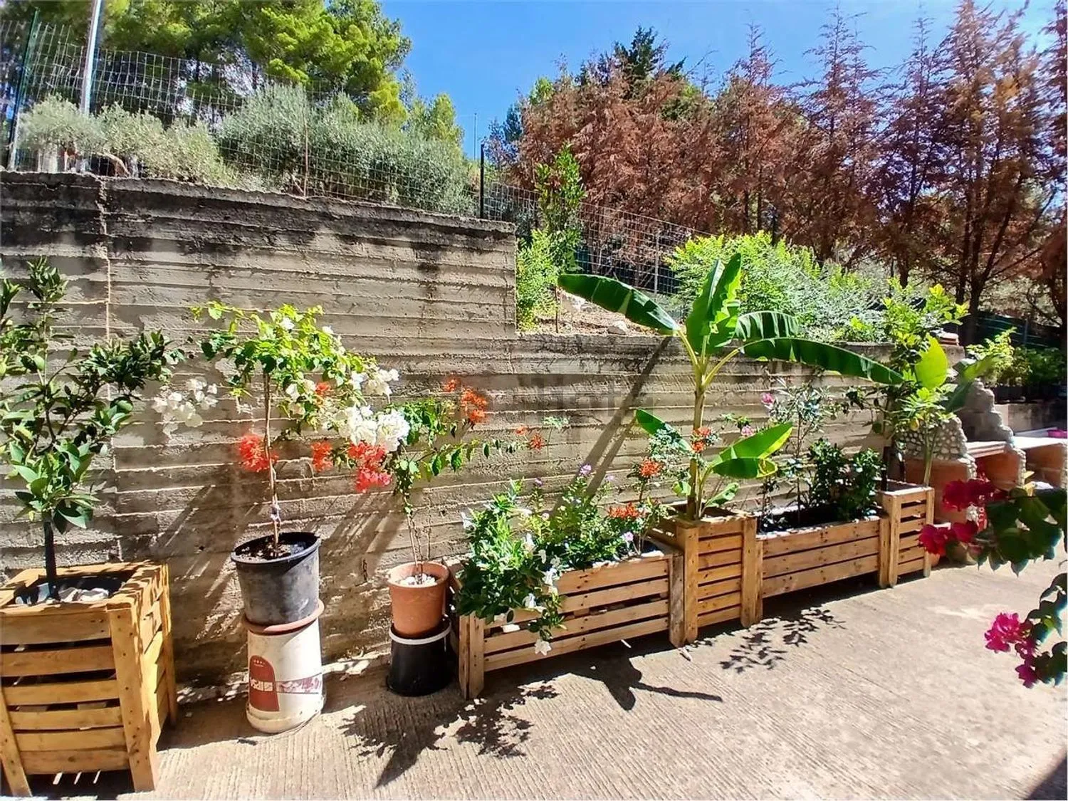 Stunning 3 bed Villa for Sale In Alessandria della Rocca Platani Hills, Agrigento Sicily Italy