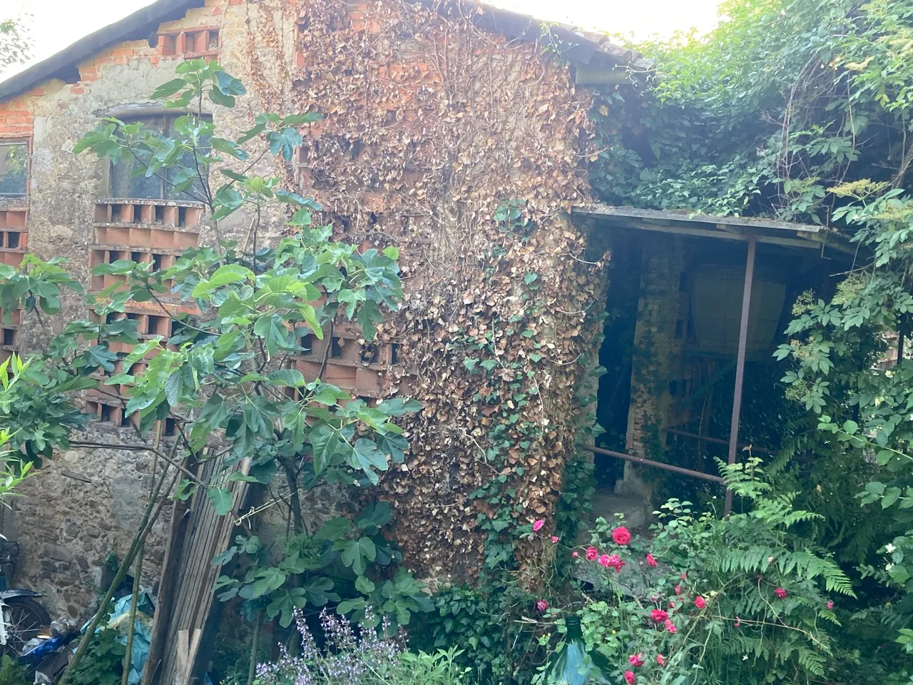 4 Bed House For Renovation for Sale In Capannori Lucca Italy