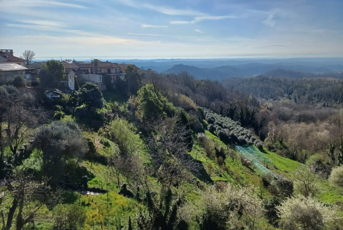 Estate of Properties for Sale In Pino D’Asti Piedmont Italy