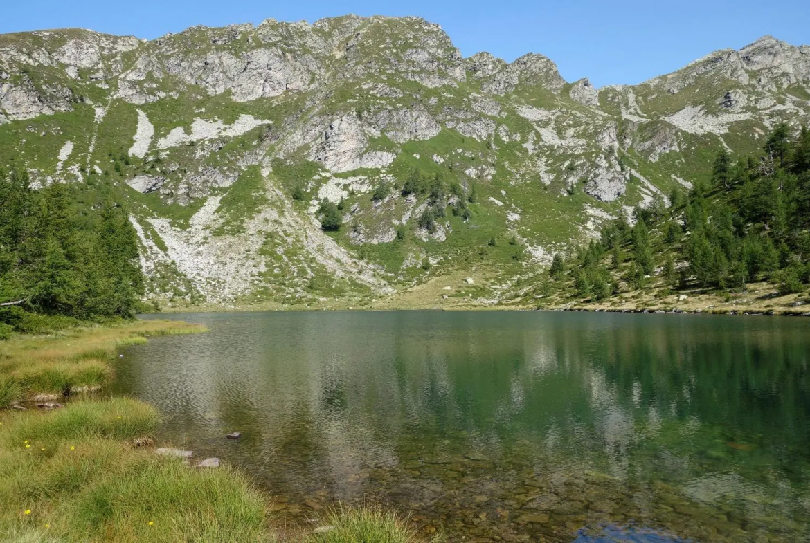 Excellent Estate Of Properties for Sale In Canei, Piedmont Italy