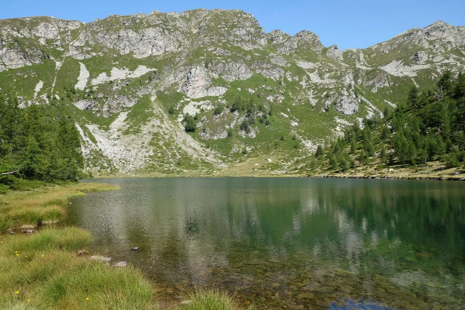 Excellent Estate Of Properties for Sale In Canei, Piedmont Italy