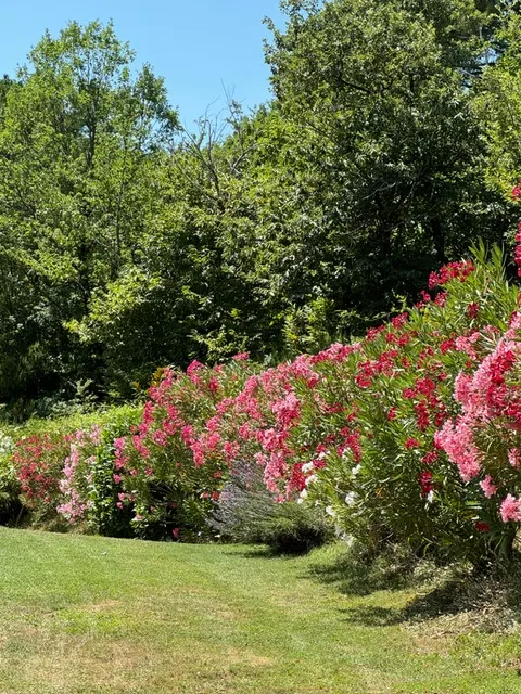 Luxury Stone 4 Bed House for Sale In Talla Casentino Tuscany Arezzo Italy