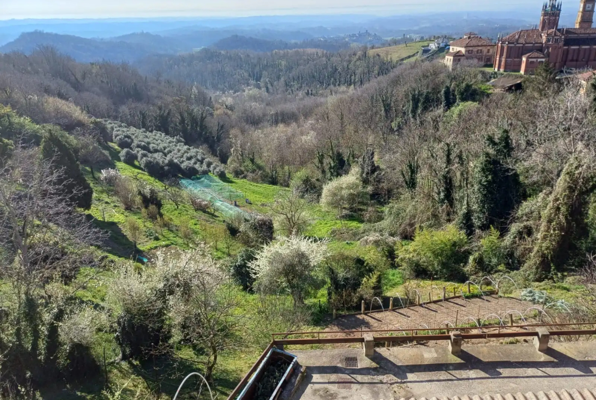 Estate of Properties for Sale In Pino D’Asti Piedmont Italy