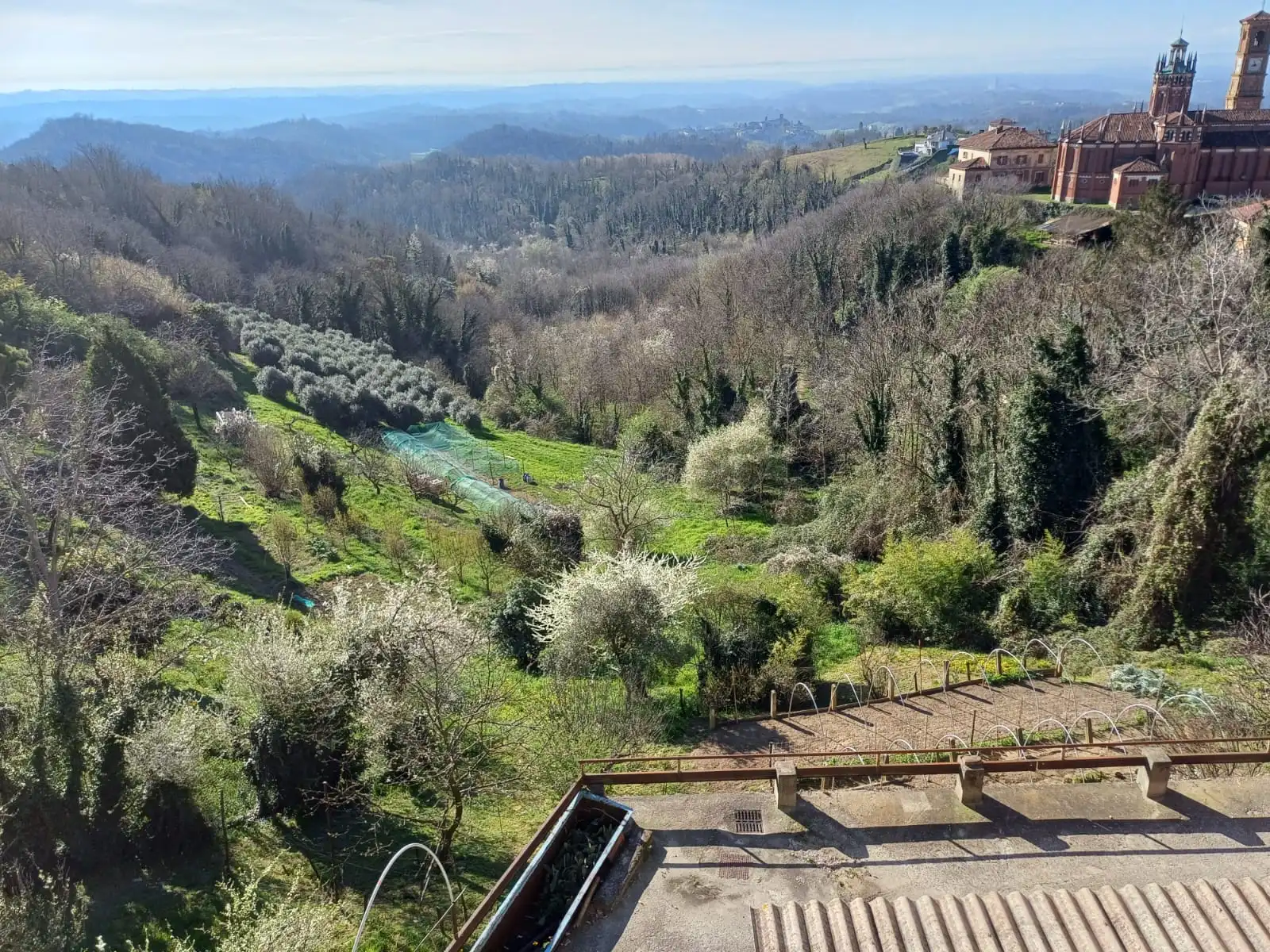 Estate of Properties for Sale In Pino D’Asti Piedmont Italy